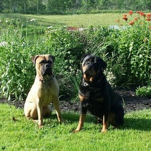 Meet your Posher, Frank